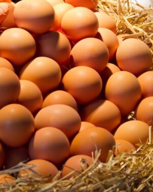 Fresh Eggs - Brown